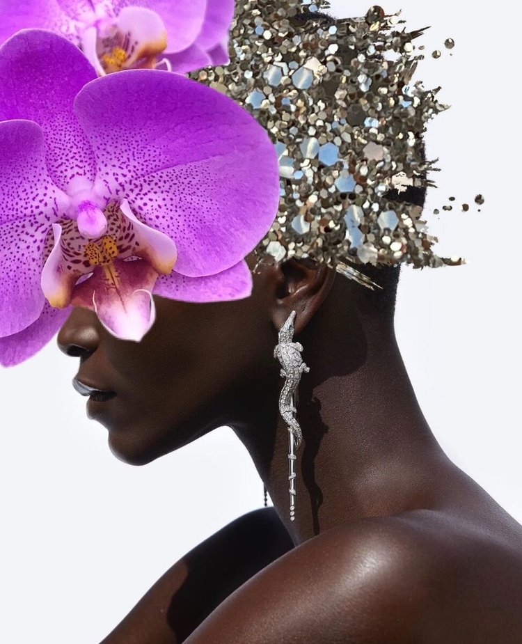 crocodile rock, Cocolea, , ,