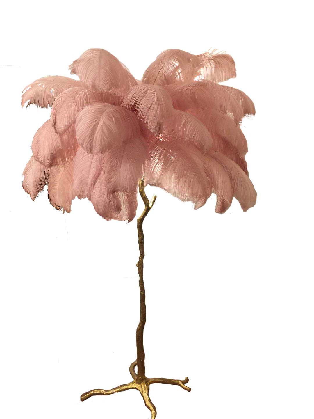 Ostro Genuine Ostrich Feather Brass Floor Lamp, Cocolea, , ,