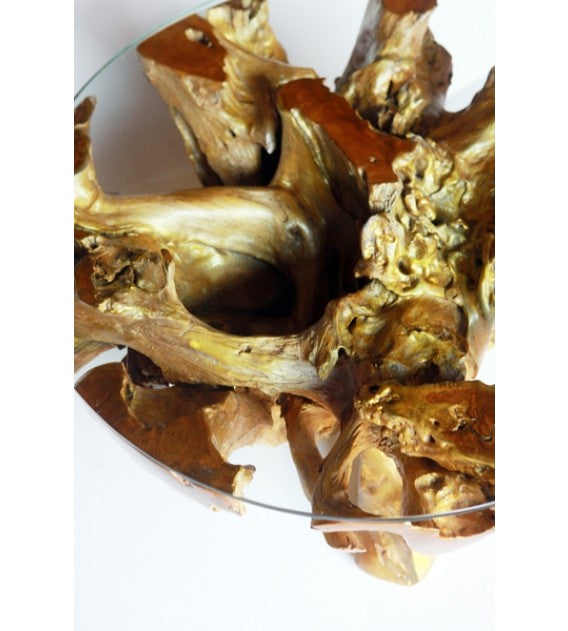 Gold Teak Root Round Coffee Table, Cocolea, , ,