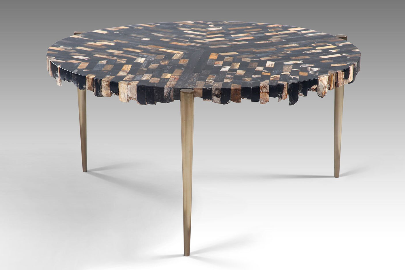 Pompeius Petrified Wood Coffee Table, Cocolea, , ,