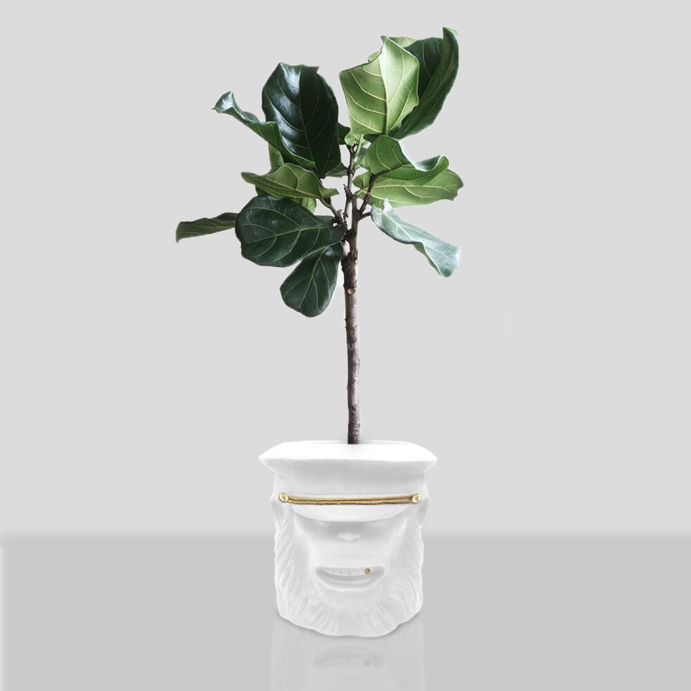 Monkey Face Pot White Big, Cocolea, , ,