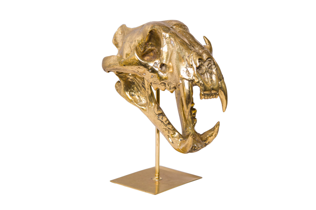 Brass Fangs sculpture, Cocolea, , ,