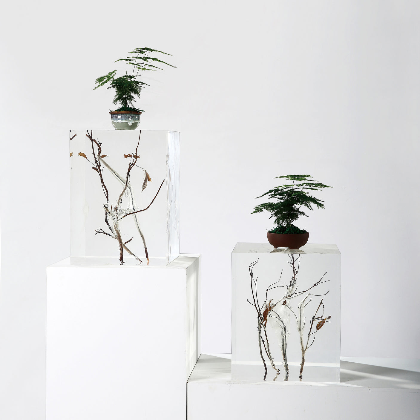 Branch Square Stool, , Cocolea, , ,