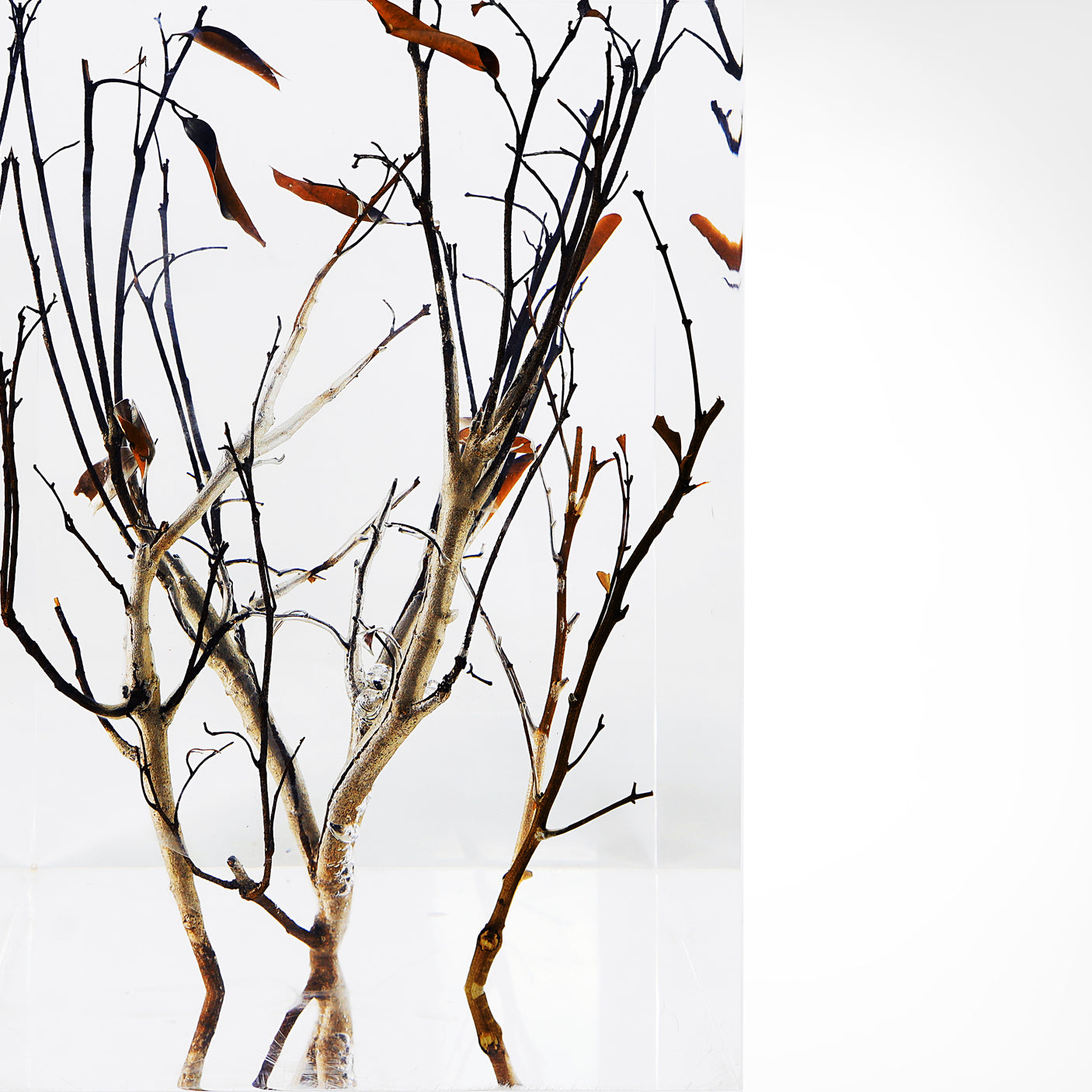 Branch Square Stool, , Cocolea, , ,