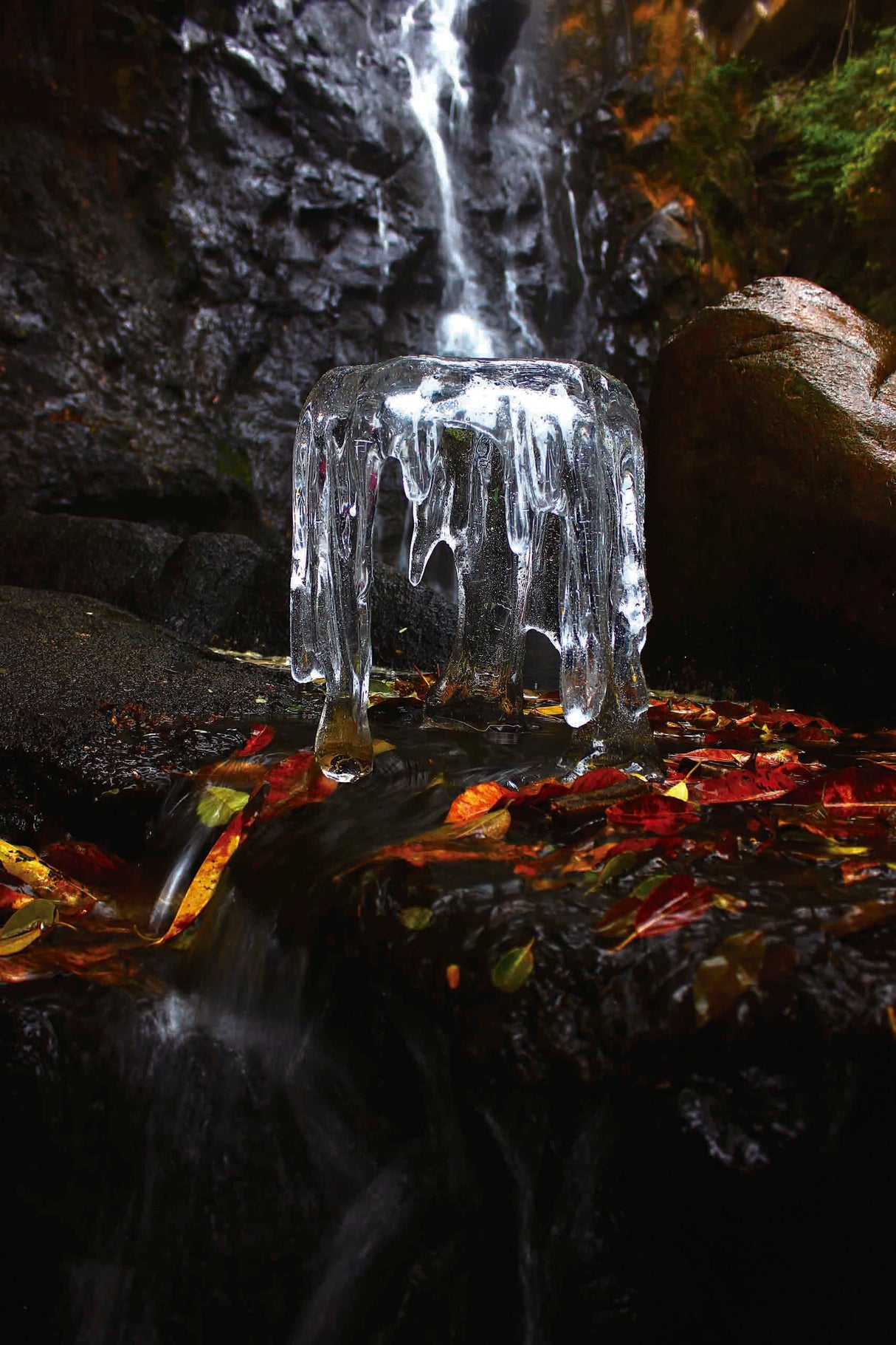 Symbiosis Stool (L), Cocolea, , ,