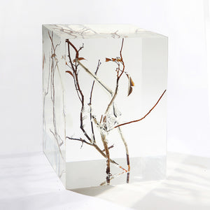 Branch Square Stool, , Cocolea, , ,