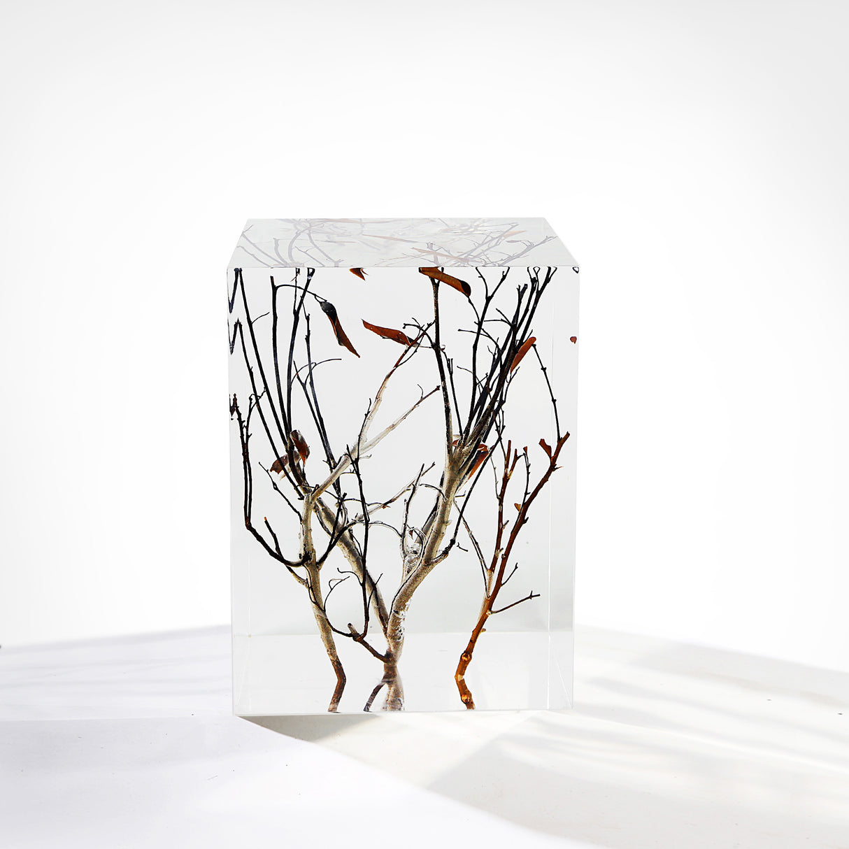 Branch Square Stool, Cocolea, , ,