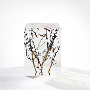 Branch Square Stool, , Cocolea, , ,