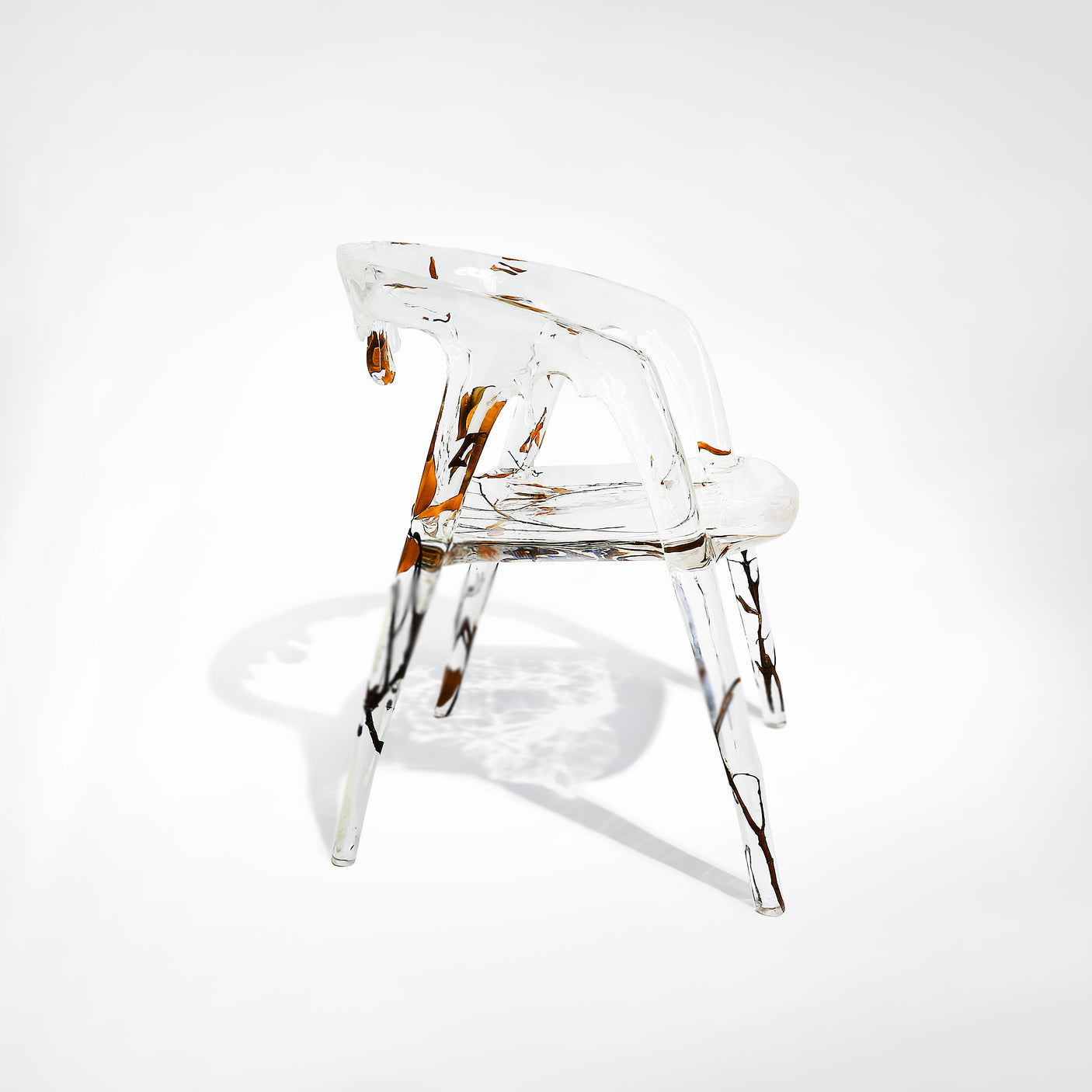 Aquatic Hermit Chair (Transparent) Cocolea