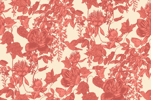 Tivoli Wallpaper, Cocolea Natty & Polly, Coral, Per roll (53 cm × 10 m),