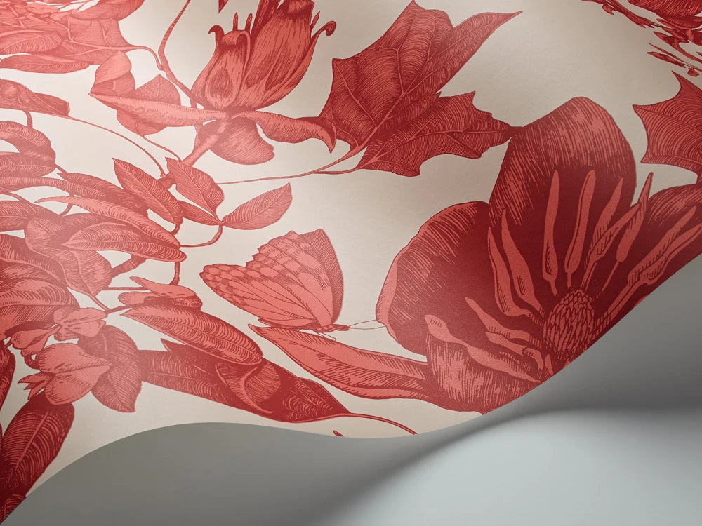 Tivoli Wallpaper, Cocolea Natty & Polly, , ,