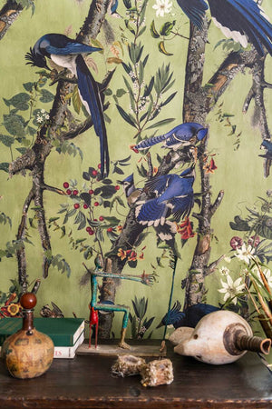 Birds Of Danube Wallpaper, Cocolea Natty & Polly, , ,
