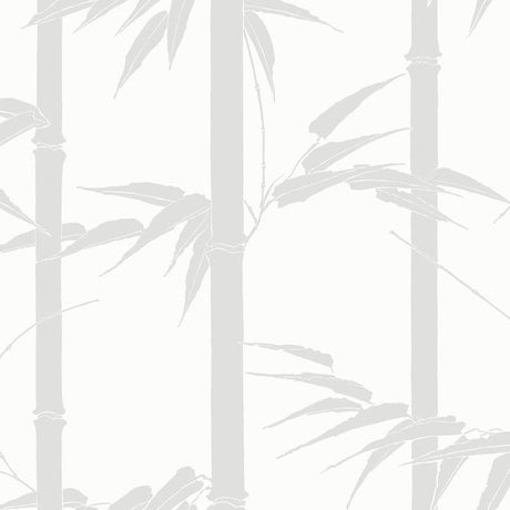 Bamboo Hawaii Wallpaper, Cocolea Natty & Polly, Brume, Per roll (61.5 cm × 10 m),