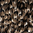 Black Smoke Feathers, Cocolea, , ,