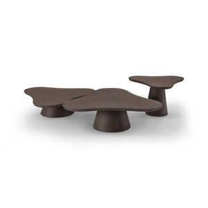 Maison Debrah Neris free-form coffee table in dark grey elm veneer on tapered pedestal — view 4