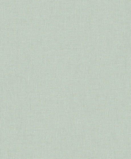 Caractère wallpaper in Celestial by Natty & Polly, close-up of the pattern and texture