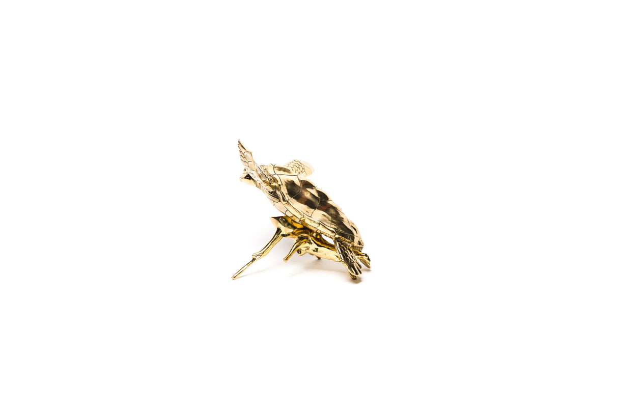 Brass Turtle, Cocolea, , ,