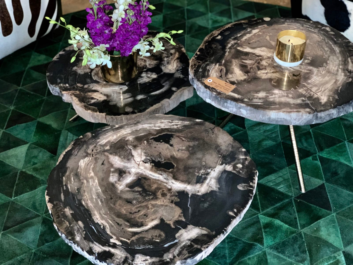 Poppy Petrified Wood Trio Nestling Coffee Table set, Cocolea, , ,