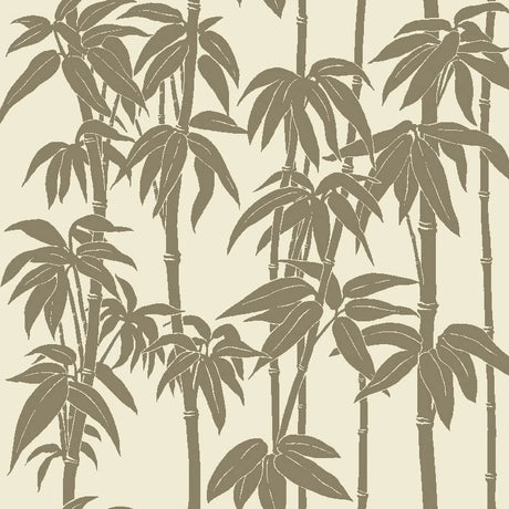 Japanese Bamboo Wallpaper, Cocolea Natty & Polly, Olive Haze, Per roll (61.5 cm × 10 m),