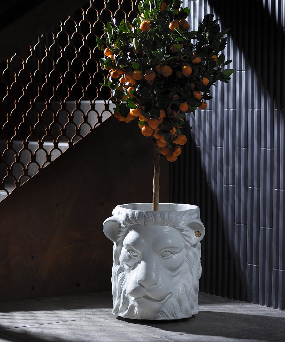 White Lion Pot Big, Cocolea, , ,