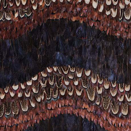 Peacock and Pheasant Purple Feather, Cocolea, , ,