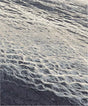 RUG RIVER FLUX, Cocolea, , ,