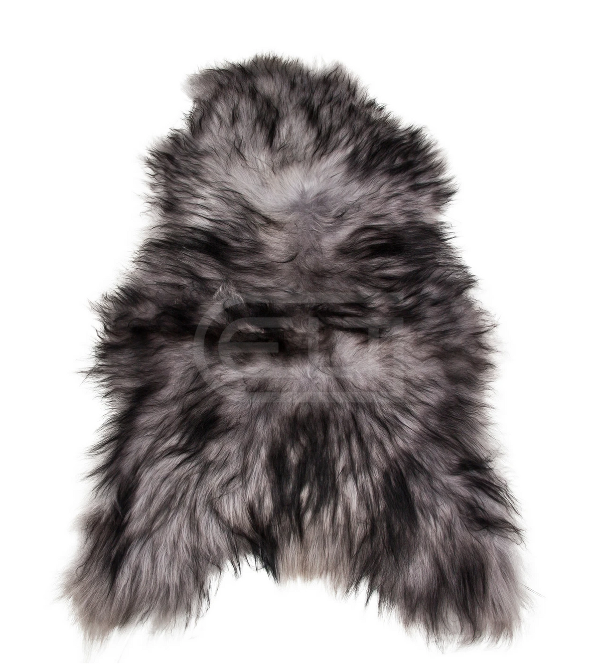 ARGENTO ICELANDIC SHEEP, Cocolea, , ,