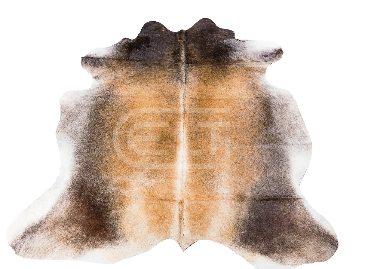 RANCHO LIGHT WHITE COW PRINT, Cocolea, , ,