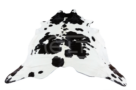 FRIESIAN WHITE COW PRINT, Cocolea, , ,