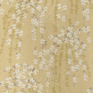 Weeping Blossom wallpaper in Gold by Natty & Polly, full pattern view