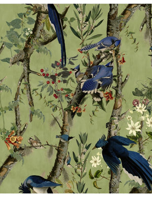 Birds Of Danube Wallpaper, Cocolea Natty & Polly, , ,