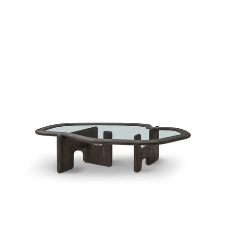 Maison Debrah Palrin oval coffee table with clear glass top in dark grey solid elm frame — view 2