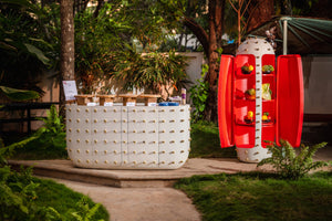 Bar Oasis, Cocolea, , ,
