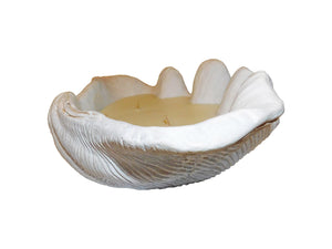Candle Clam
