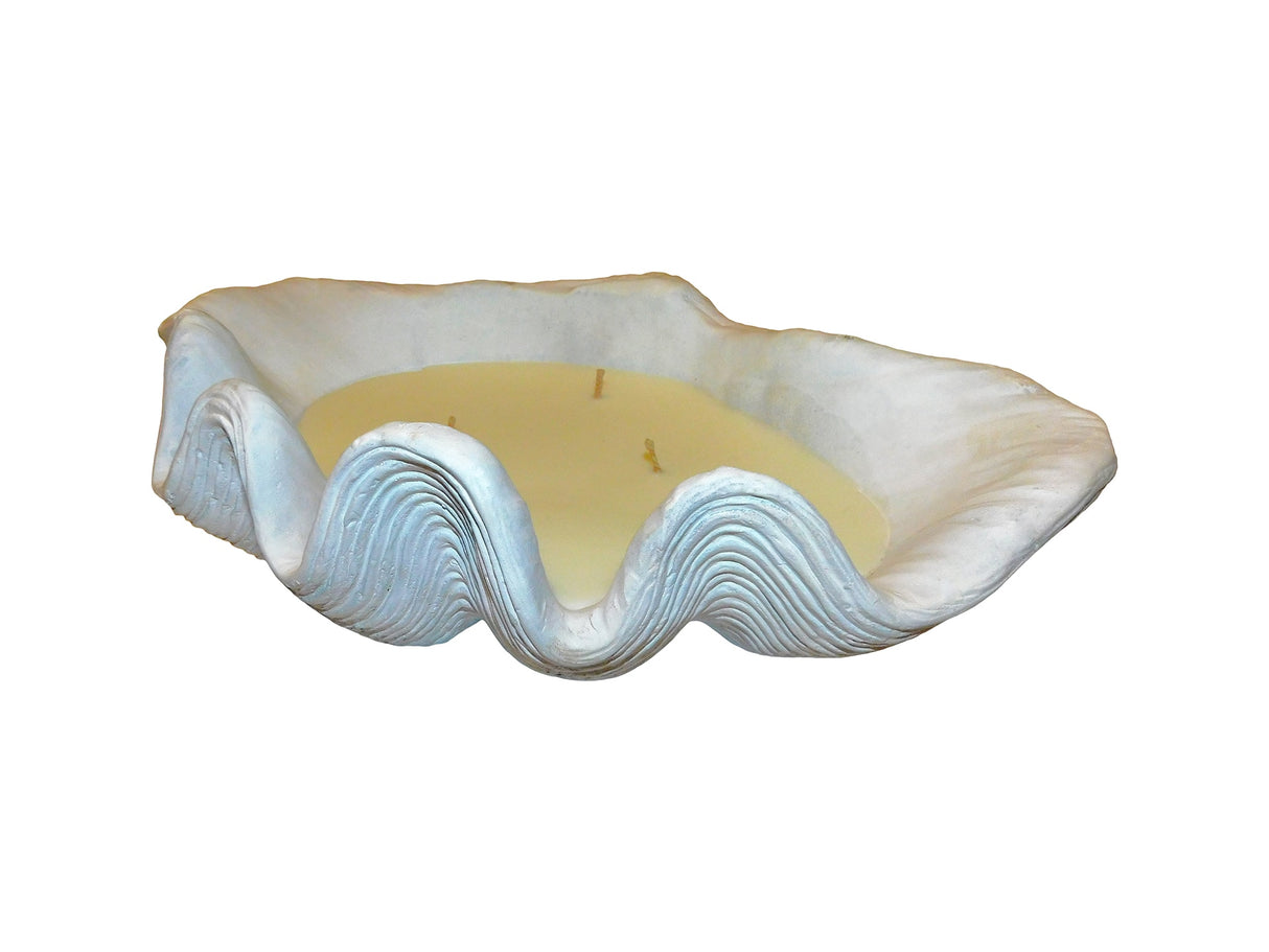 Candle Clam, Cocolea, , ,