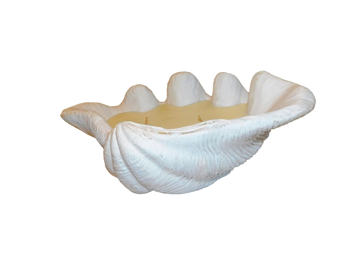 Candle Clam, Cocolea, , ,