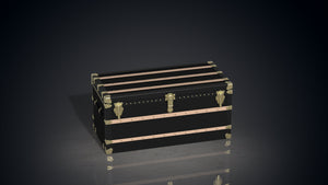 MG Obsidian Trunk by Gordon Gu, MG Art collection at Cocolea